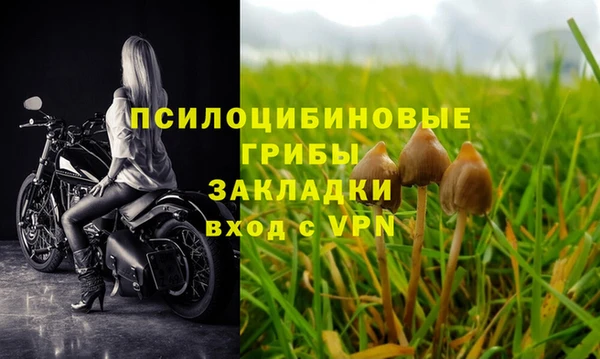 герыч Вяземский