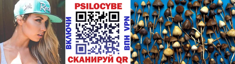Купить где  Козьмодемьянск  Псилоцибиновые грибы MAGIC MUSHROOMS 